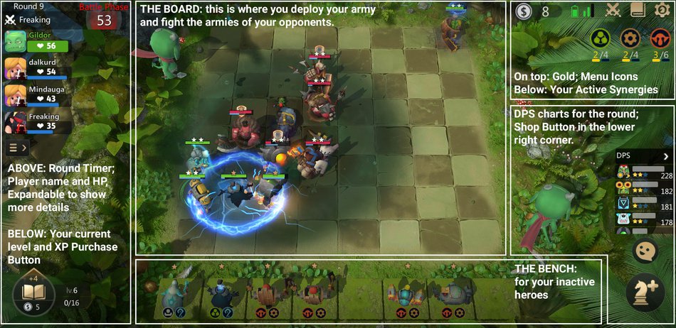 Learn The Basics Of Auto Chess